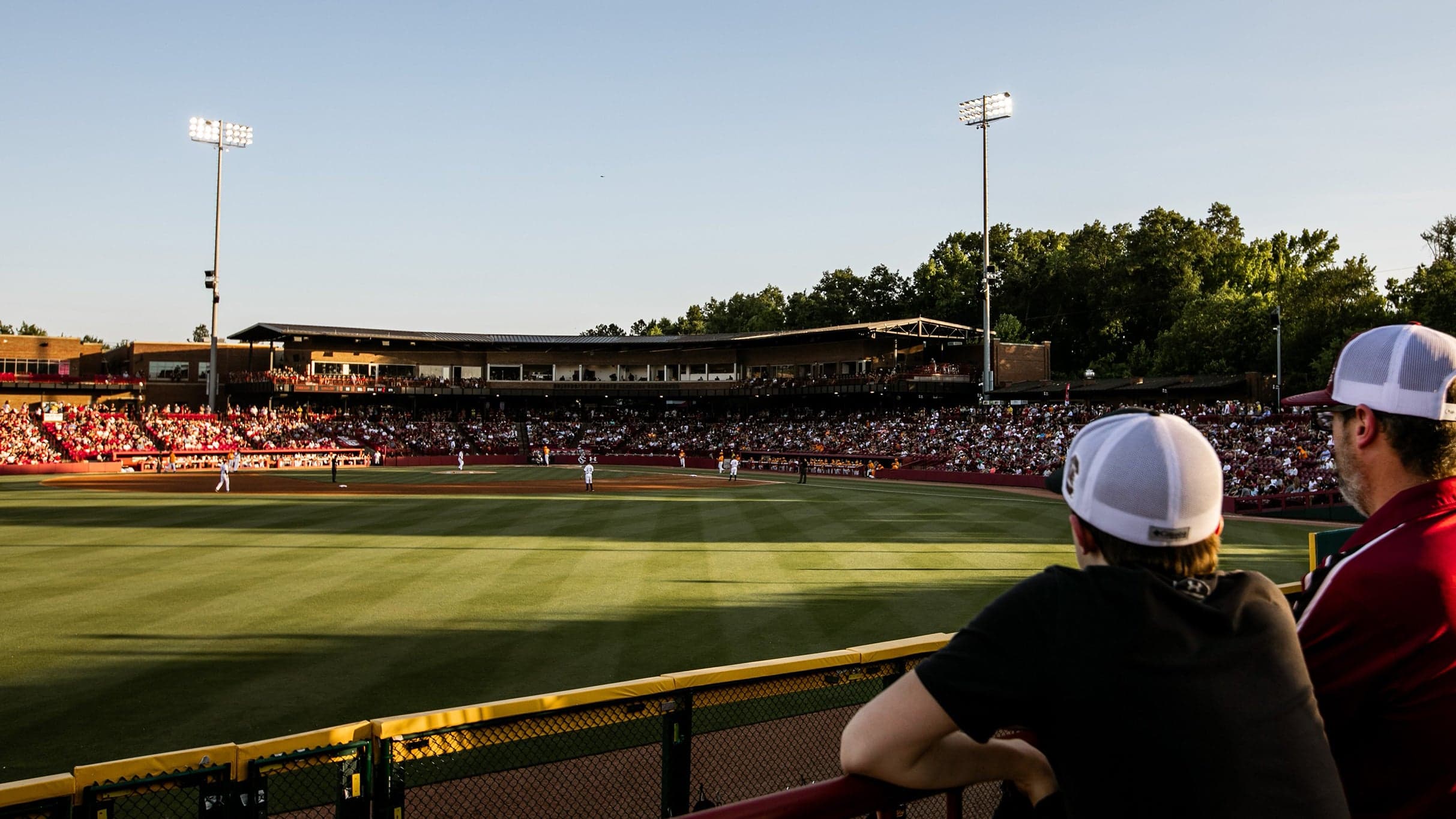 Univ of South Carolina Gamecocks Baseball vs. College of Charleston Cougars Baseball