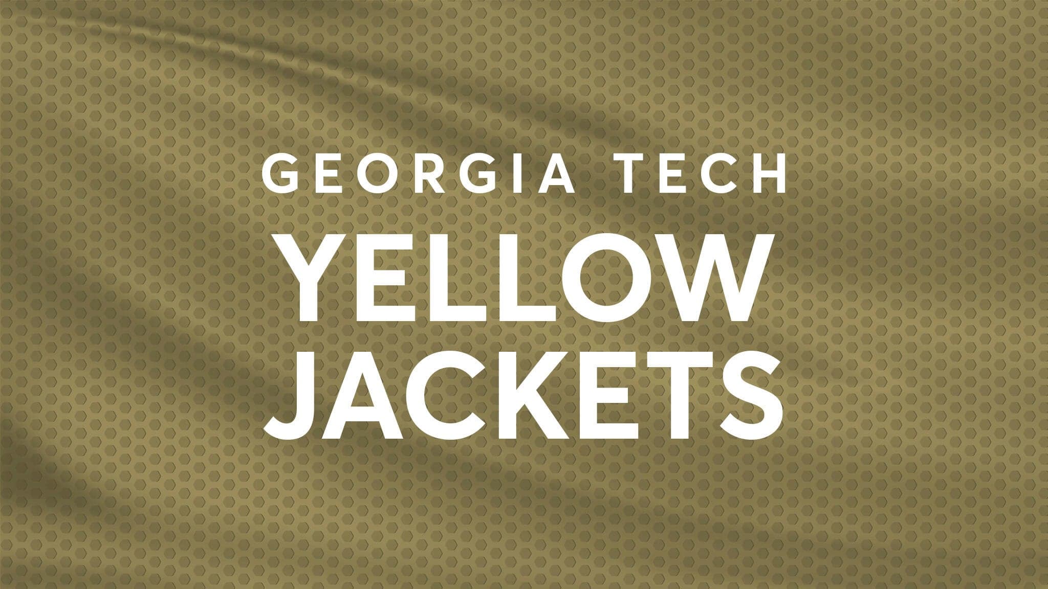 Georgia Tech Yellow Jackets Baseball vs. Wake Forest Demon Deacons Baseball