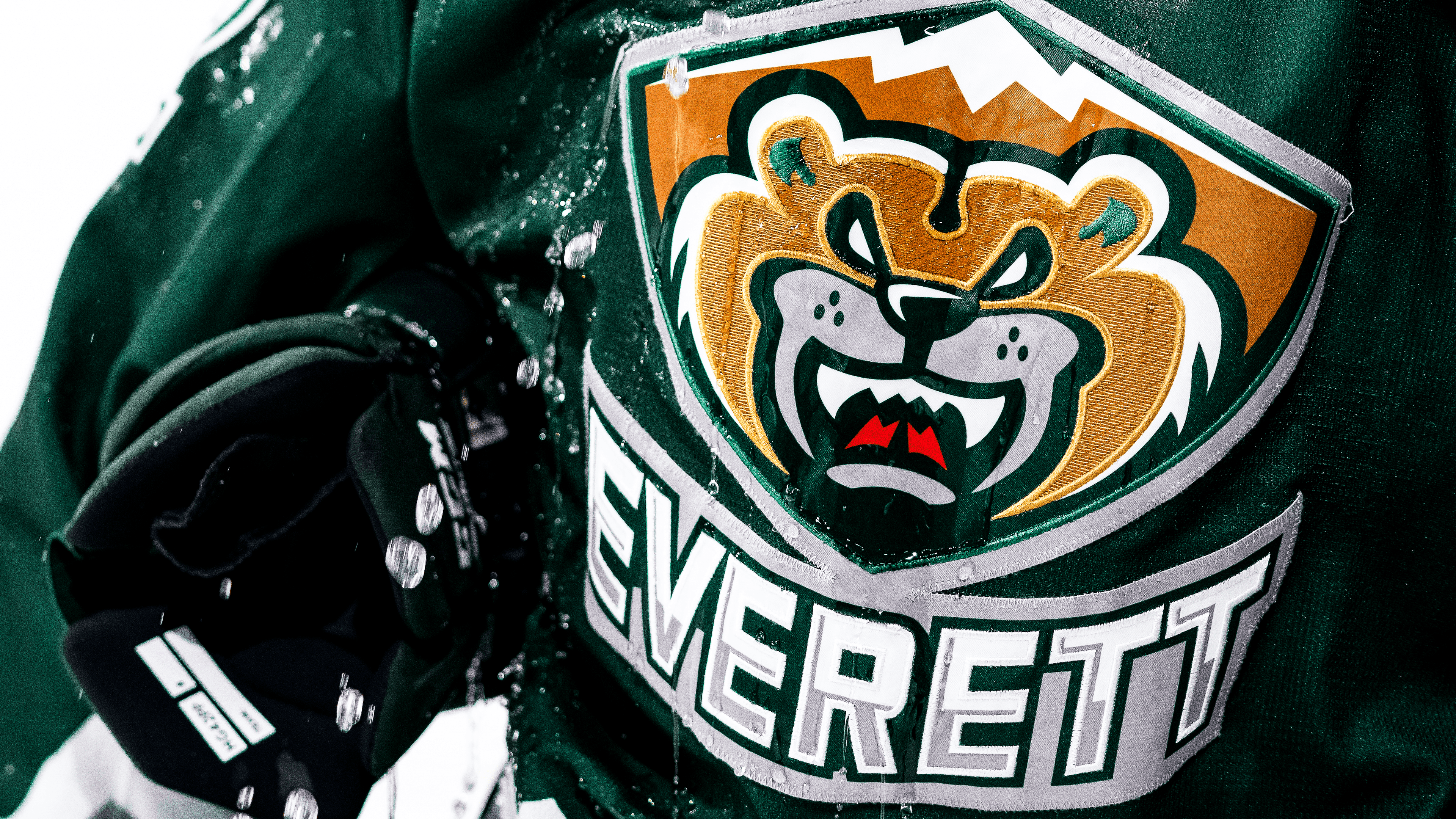 PLAYOFFS: Everett Silvertips vs Kelowna Rockets | RD 2 GM 1