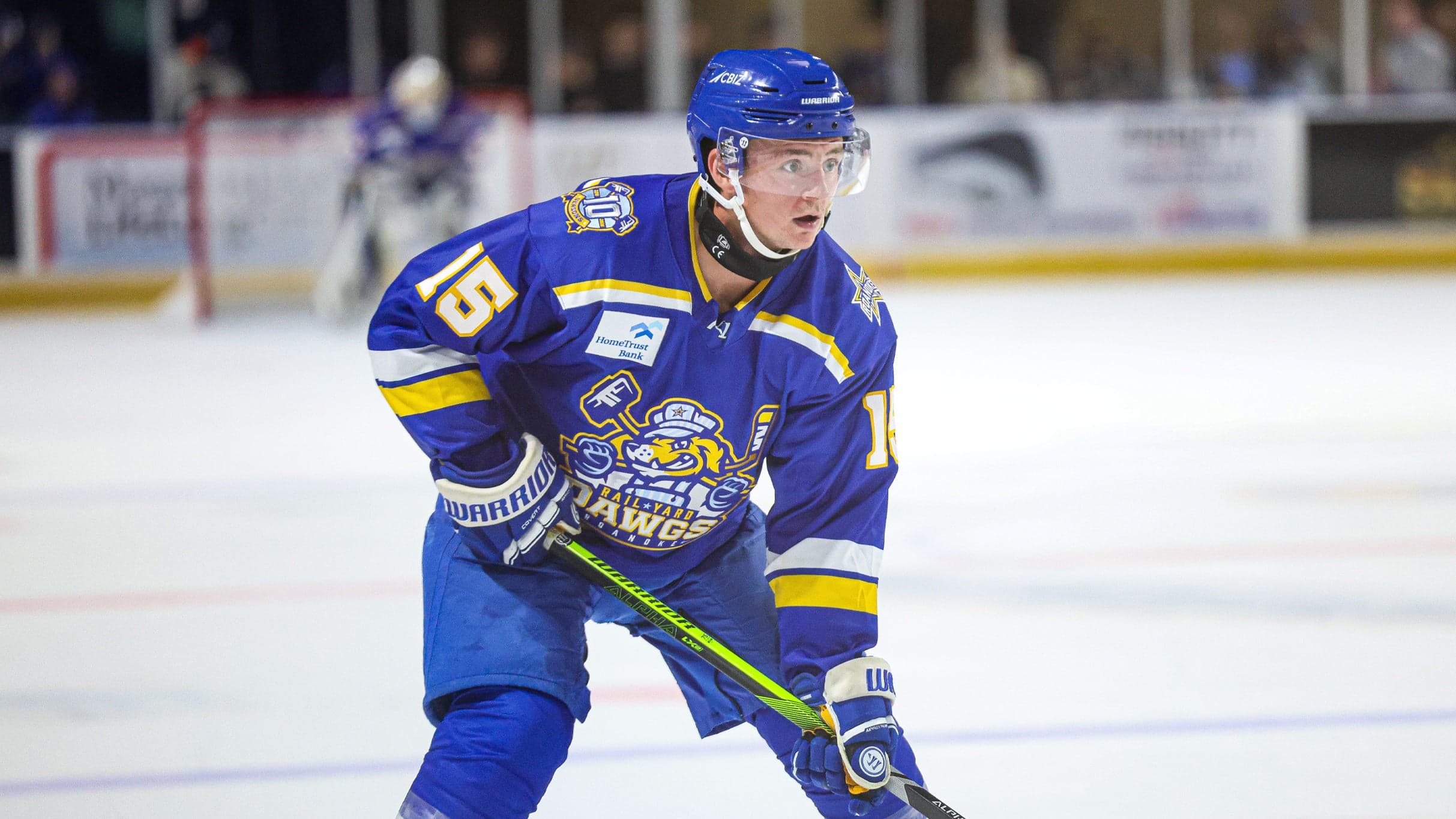 Roanoke Rail Yard Dawgs vs. Birmingham Bulls (Round 1: Game 2)