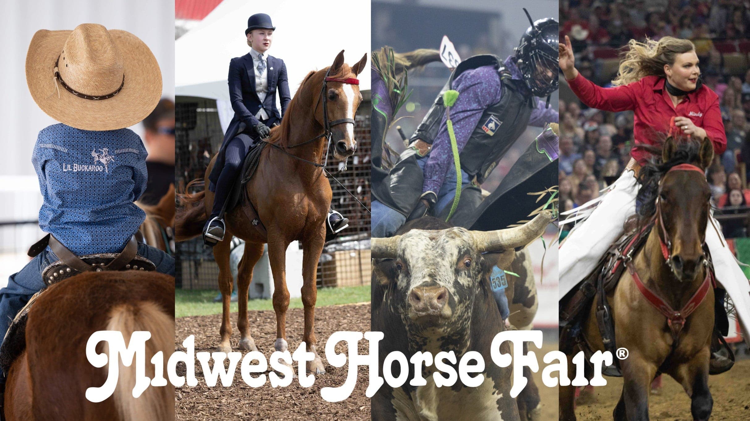 Fair Admission - Midwest Horse Fair 2026