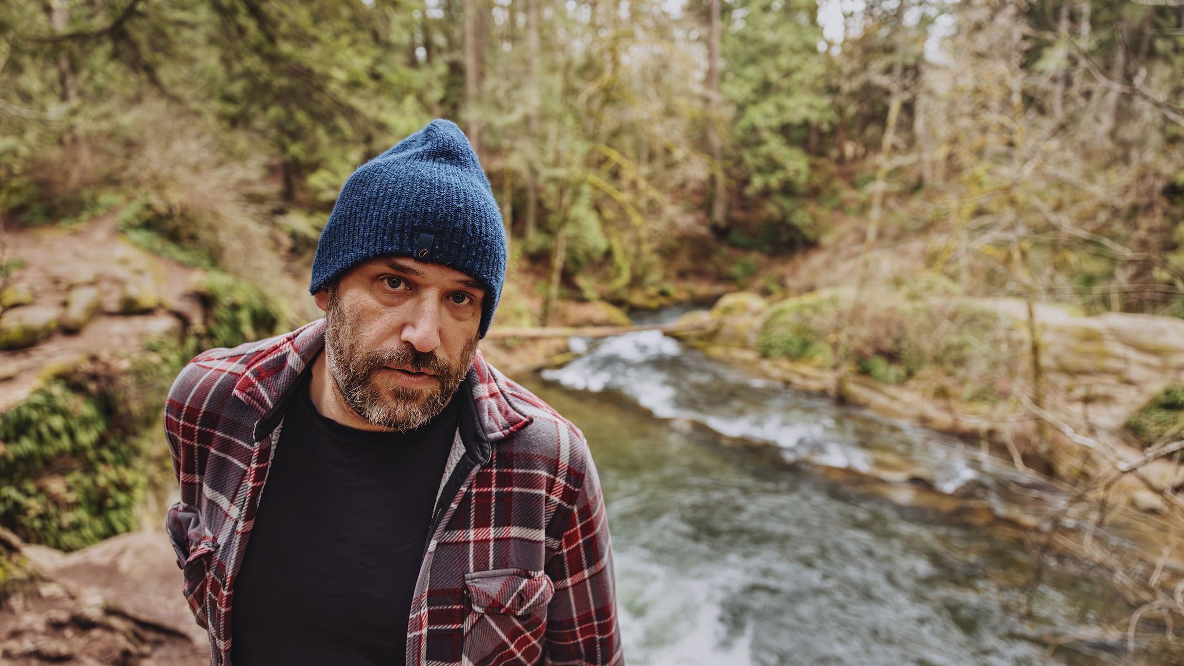 Pedro the Lion, The Colourflies