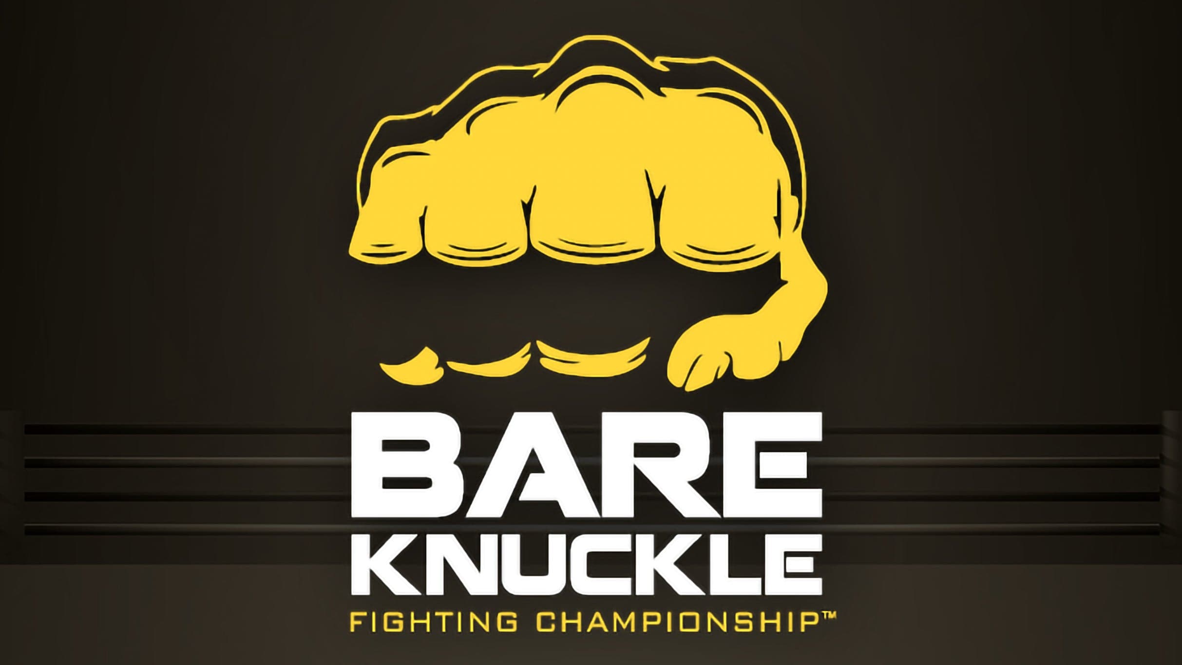 Bare Knuckle Fighting Championship (BKFC)