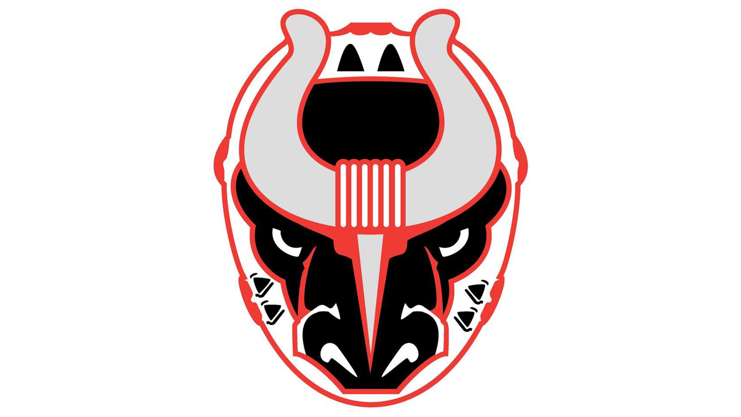 Birmingham Bulls vs Roanoke Rail Yard Dawgs