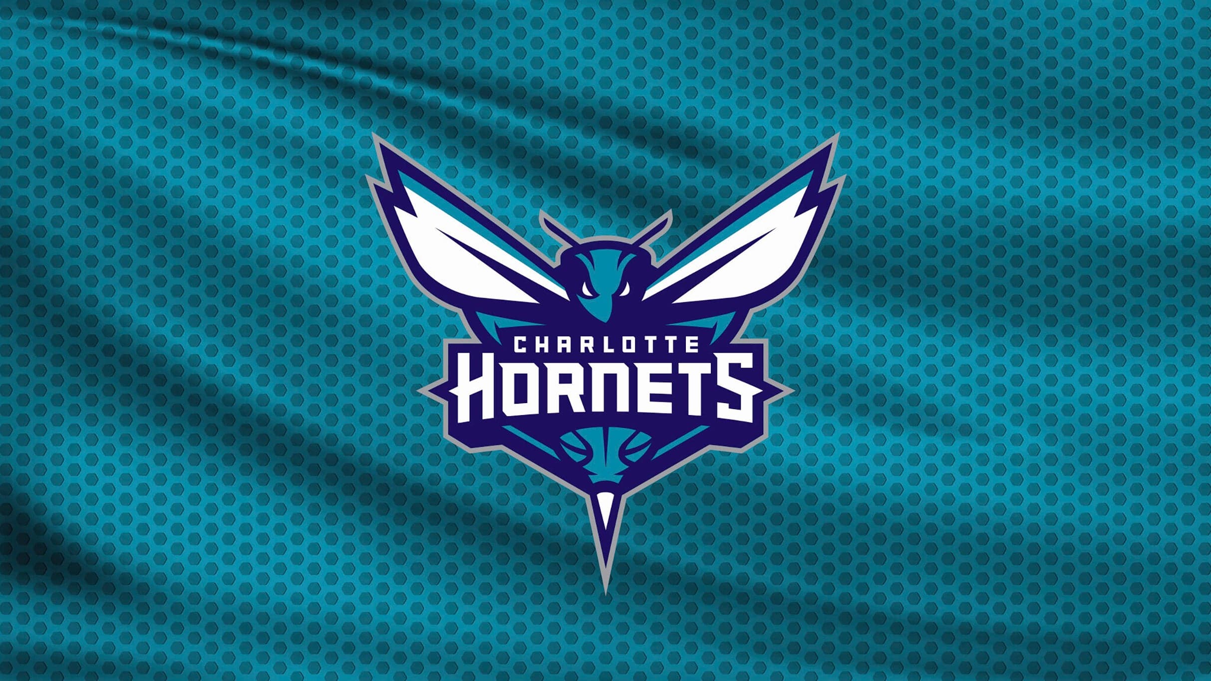 Charlotte Hornets vs. Detroit Pistons